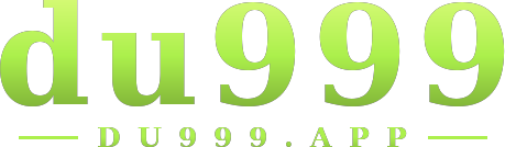 du999 logo